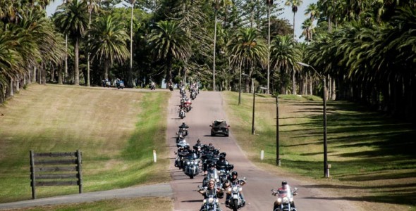 Paseo Santa Teresa