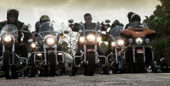 Paseo – Santa Teresa